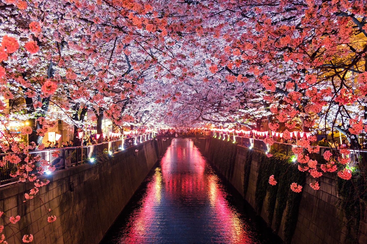 高山半日ウォーキングツアー